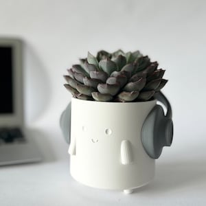Pode incluir: Vaso de cerâmica branco com um rosto sorridente e fones de ouvido cinza, segurando uma planta suculenta com folhas verdes e roxas.