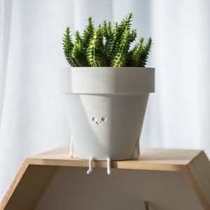 Op de afbeelding: Een witte keramische plantenpot met een glimlachend gezicht en kleine pootjes staat op een houten plank. Een groene succulent plant groeit in de pot.