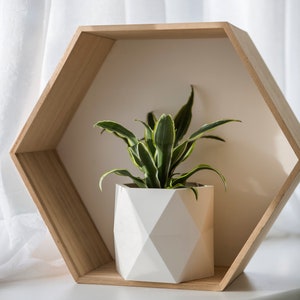 Set of White Pots, 3D Printed Geometric Cactus Planter Set for Indoors Home Decor, Unique Gift for Plant Lower image 3