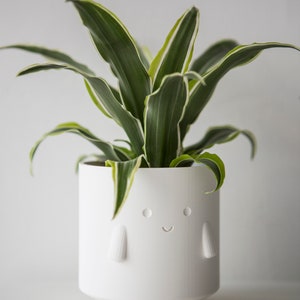 Set of White Black Happy Face Plant Pots, Cute Pen Pencil Holders,Face Planters, Eco-Friendly Succulent Cactus pot, Gift for Plant Lover image 4