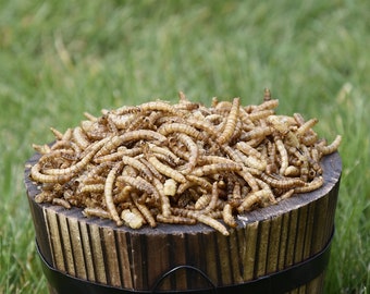 Getrocknete Mehlwürmer | Großpackung 5 kg bis 35 kg