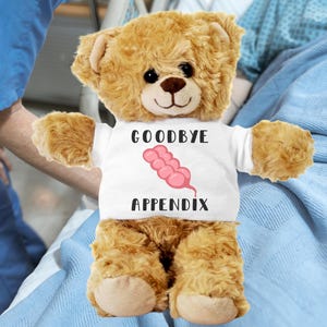 May include: A plush teddy bear with light brown fur, wearing a white t-shirt. The shirt has the words "GOODBYE APPENDIX" printed in black, with a pink illustration of an appendix. The bear is positioned in a hospital setting.