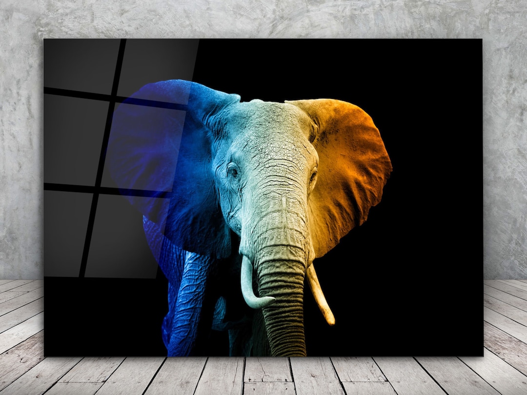 Elephant Posterelephant Wall Decorabstract Elephant Wall Artcolorful