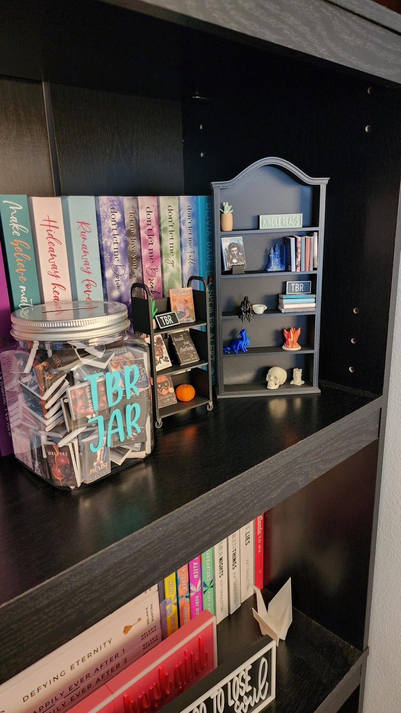 Miniature Library Bundle: Bookshelf, Decor, TBR Jar - Etsy