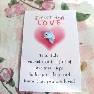 Pocket Hug - Taschen Umarmung, Delfin, Geschenk für liebe Menschen, Fisch, Du wirst geliebt - Karte