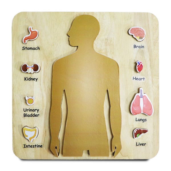 Human Body Puzzle - Etsy