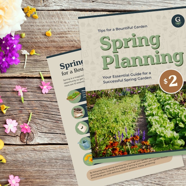 Spring Planning Essential Guide for a Thriving Garden