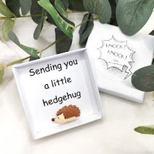 Cadeau hérisson poche câlin Idées cadeaux fantaisie hérisson copain de bureau Petit cadeau câlin hérisson Je pense à vous Meilleur ami cadeau carte bravo