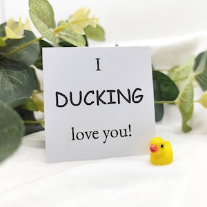 Ich liebe dich Ente Liebe Ente Niedliche Ente Geschenk Schreibtisch Buddy Niedliche kleine Ente Tasche Umarmung Entenliebhaber Bester Freund Geschenk Positives Geschenk Glückliches Neuheitsgeschenk