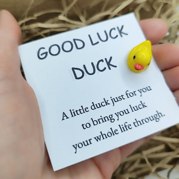 Good Luck Duck Good Luck Gift Cute Duck Gift Desk Buddy Cute little Duck Pocket Hug Duck Best Friend Gift Positive Gift Lucky Novelty Gift