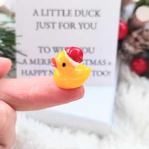 Noël canard mignon canard cadeau poche câlin cadeau de Noël cadeau de fête cadeau de Noël secret père noël nouveauté cadeau canard cadeau canard de bureau