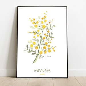 Mimosa-Blumen-Aquarell-Poster – Heimdekor-Poster – Blumen-Illustration, Geschenk, gelbe Wanddekoration für den Frühling