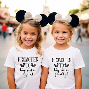 Promoted To Big Sister Finally Big Sister Again Shirt, Pregnancy Announcement Tee, Matching Sibling Shirts, Matching Sisters TShirts,