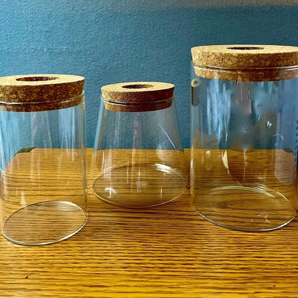 Hydroponic Plant Vase|Plant Growing Vase|Glass Vase|Hydronic Glass Jar|Glass Jar|Indoor Home Decor