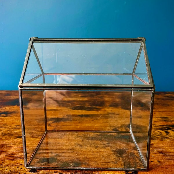 Glass Box Terrarium|Closed Terrarium|Indoor Planters|Modern Indoor Decor