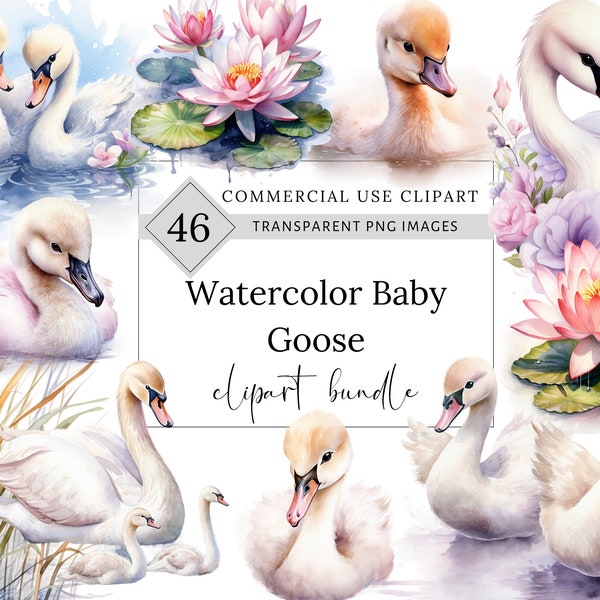 Watercolor Baby Swan clipart bundle, swan Png, Watercolor birds, Bird clipart, Baby shower, Nursery png, Commercial use, Junk journals, SVG