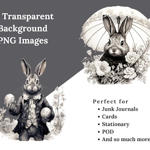 Vintage Easter Bunny Clipart, Ink Sketch illustrations, Victorian Easter Rabbit Decor, Retro Easter PNG, Easter invitations, Junk Journal