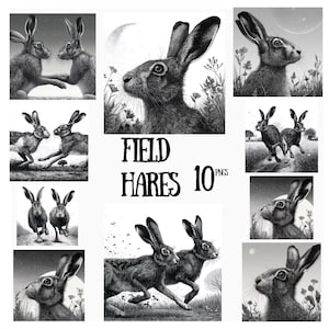 Puede incluir: Una colección de ilustraciones en escala de grises con liebres de campo. Las imágenes muestran liebres en varias poses, incluyendo corriendo e interactuando. El texto "FIELD HARES 10 PNGS" se muestra en negrita.