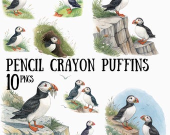 Imágenes prediseñadas de frailecillos, aves marinas en formato PNG, diseño en tonos pastel suaves (10 imágenes)