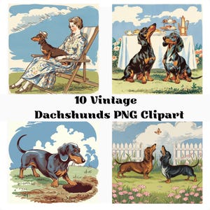 10 Vintage-Stil Dackel Illustrationen, Dackel PNGs, Dackel Clipart Grafiken, Vintage inspirierte Hunde Illustrationen, Instand Downloads