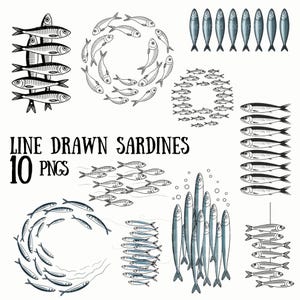 10 imágenes prediseñadas de sardinas dibujadas con líneas, PNG con fondo transparente, imágenes estéticas de pescadores, para manualidades y tarjetas, perfectas para POD