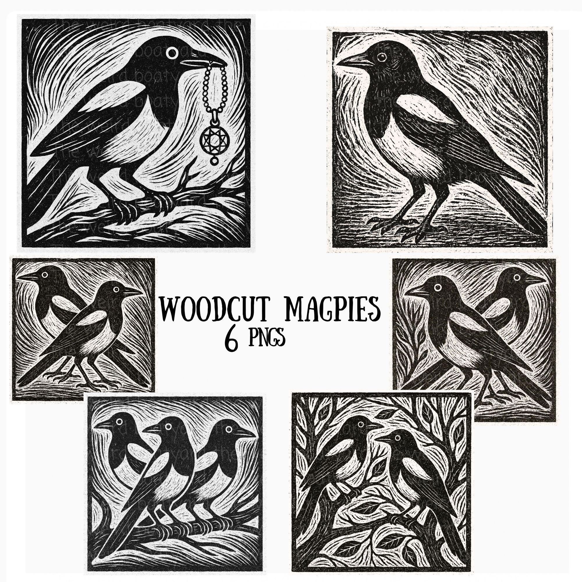 Woodcut Magpie Clipart: Vintage Black & White Bird Pngs (6 Images