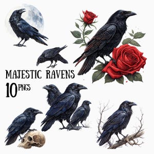 10 Majestic Raven Clipart Images - Watercolour Style, Corvid PNG, Digital Downloads, Bird Clipart, Ravens and Skull, Gothic Clipart