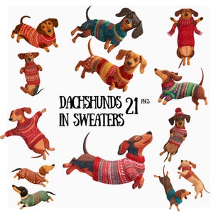 Puede incluir: Una colección de 21 imágenes PNG con perros salchicha con suéteres coloridos. Los perros salchicha se representan en varias poses, con una variedad de diseños de suéteres. El texto "Dachshunds in Sweaters" se muestra en el centro.
