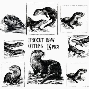 May include: A selection of black and white linocut illustrations featuring otters in different positions. Some otters are swimming, others are shown on land. The text "LINOCUT B&W OTTERS 14 PNGS" is also visible.