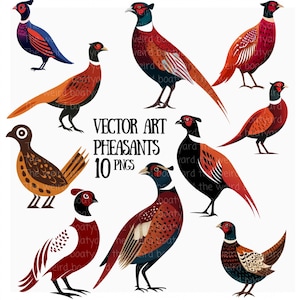 Set di clipart di fagiani, uccelli da caccia in stile vettoriale colorato, 10 PNG con sfondi trasparenti, illustrazioni di uccelli digitali per lavoretti