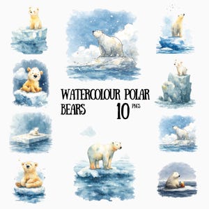 May include: Watercolor illustrations of polar bears in various poses on ice floes and in water. The image includes the text "WATERCOLOUR POLAR BEARS 10 PNGS". The bears are depicted in shades of white, cream, and light brown against a blue and white background.