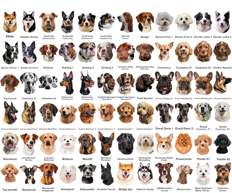 May include: A collection of 60 different dog breeds, each depicted with a detailed portrait. Breeds include Akita, Husky, Bulldog, Beagle, and Poodle. The image is a colorful display of various dog faces, perfect for dog lovers.