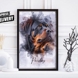 Op de afbeelding: Een aquarel schilderij van een Rottweiler met bruin en zwart haar. De hond kijkt omhoog en naar rechts. Het schilderij heeft een lichtblauwe achtergrond met witte verfspatten. De naam van de hond, "Paisley", is in cursief geschreven onderaan het schilderij.