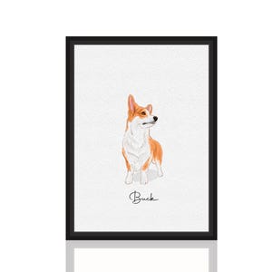 Op de afbeelding: Een aquarel schilderij van een corgi hond met een witte borst en witte poten. De hond kijkt naar rechts en het schilderij is ingelijst in een zwart frame. De naam van de hond, "Buck", is in cursief geschreven onderaan het schilderij.