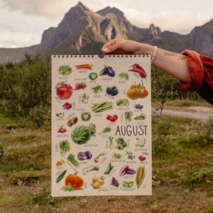 Seasonal calendar colorful // Seasonal calendar fruit vegetables Din A3 A4 A5