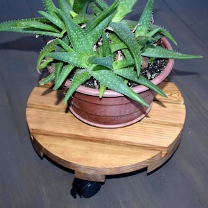 Puede incluir: Una planta de aloe vera verde en una maceta marrón descansa sobre un soporte de madera redondo. El soporte tiene un acabado de madera natural y está montado sobre ruedas negras. La maceta tiene unos 20 cm de diámetro.