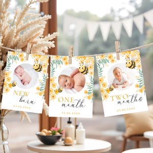 Druckbare Biene 1. Geburtstag Monatliches Fotobanner, Buzzy Bee Erstes Jahr Fotogirlande, bearbeitbares Banner für den ersten Bienentag