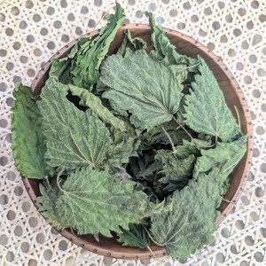 Kanadische Wildnesselblätter – Natürlicher Detox-Kräutertee – Lose Heilpflanze – Reich an Mineralien – Hohe Qualität (Urtica dioica)