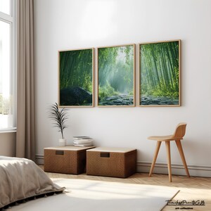May include: Three framed prints of a lush green bamboo forest with a stone path leading through the center. The prints are hung on a white wall in a modern living room setting.
