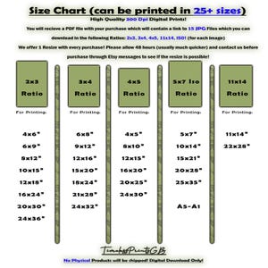 May include: Size chart for digital prints, showing various aspect ratios like 2x3, 3x4, and 4x5, with corresponding print sizes in inches. Includes text about file formats and resizing options. The chart is labeled "High Quality 300 Dpi Digital Prints!"