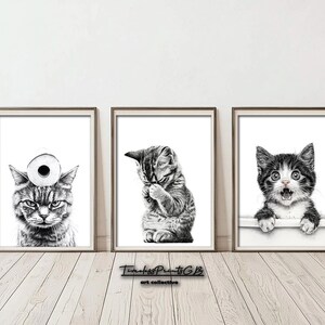 Puede incluir: Tres ilustraciones en blanco y negro de gatos en marcos. El primer gato lleva un rollo de papel higiénico en la cabeza. El segundo gato se está lavando la cara. El tercer gato tiene una expresión de sorpresa con la boca abierta.