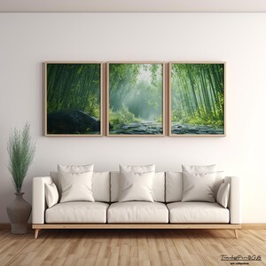 May include: Three framed prints of a lush green bamboo forest with a path leading through the center. The middle print shows a misty path with sunlight streaming through the trees.