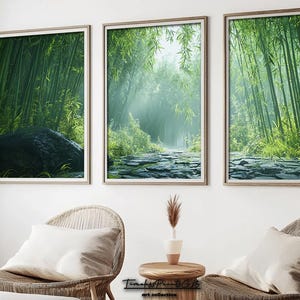 May include: Three framed prints of a lush green bamboo forest with a stone path leading through the center. The forest is illuminated by sunlight streaming through the leaves, creating a sense of tranquility and peace.