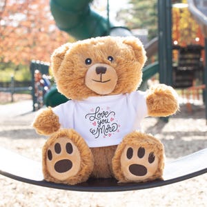 May include: A plush brown teddy bear wearing a white t-shirt with the words "Love you More" in a script font. The bear has a soft, furry texture and dark brown paw pads. The background shows a playground.