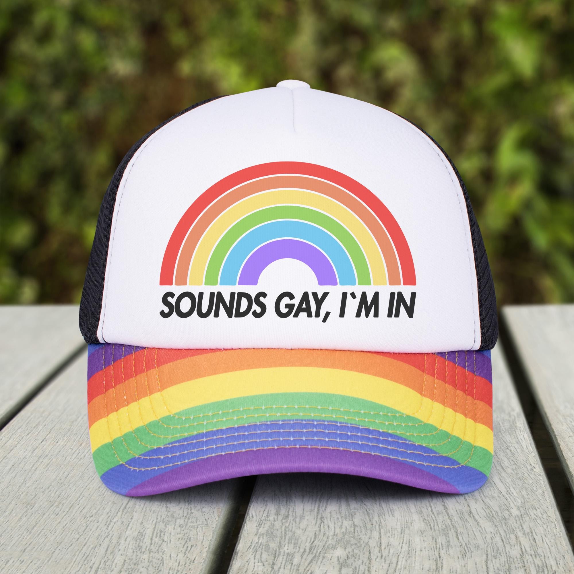 Rainbow Sounds Gay I display picture 2