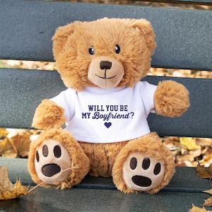 May include: A brown teddy bear wearing a white t-shirt with the text "Will you be my Boyfriend?" in blue lettering and a small blue heart.