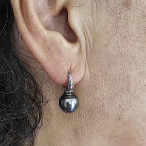 May include: A pair of silver hoop earrings with a single black pearl dangling from each hoop. The earrings are worn by a person with dark hair.