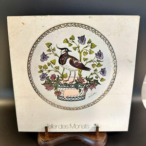 Vintage Hutschenreuther Germany Teller des Monats March Collectible Plate in Original Box