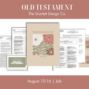 Old Testament Lesson Plan, Gospel Doctrine & Sunday School Teaching Help, August 10-16, Job, Come Follow Me 2026 image 2