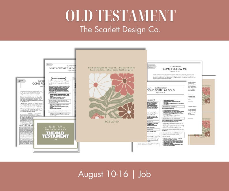 Old Testament Lesson Plan, Gospel Doctrine & Sunday School Teaching Help, August 10-16, Job, Come Follow Me 2026 image 2